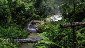 Forest Waterfalls in the Central of Thailand